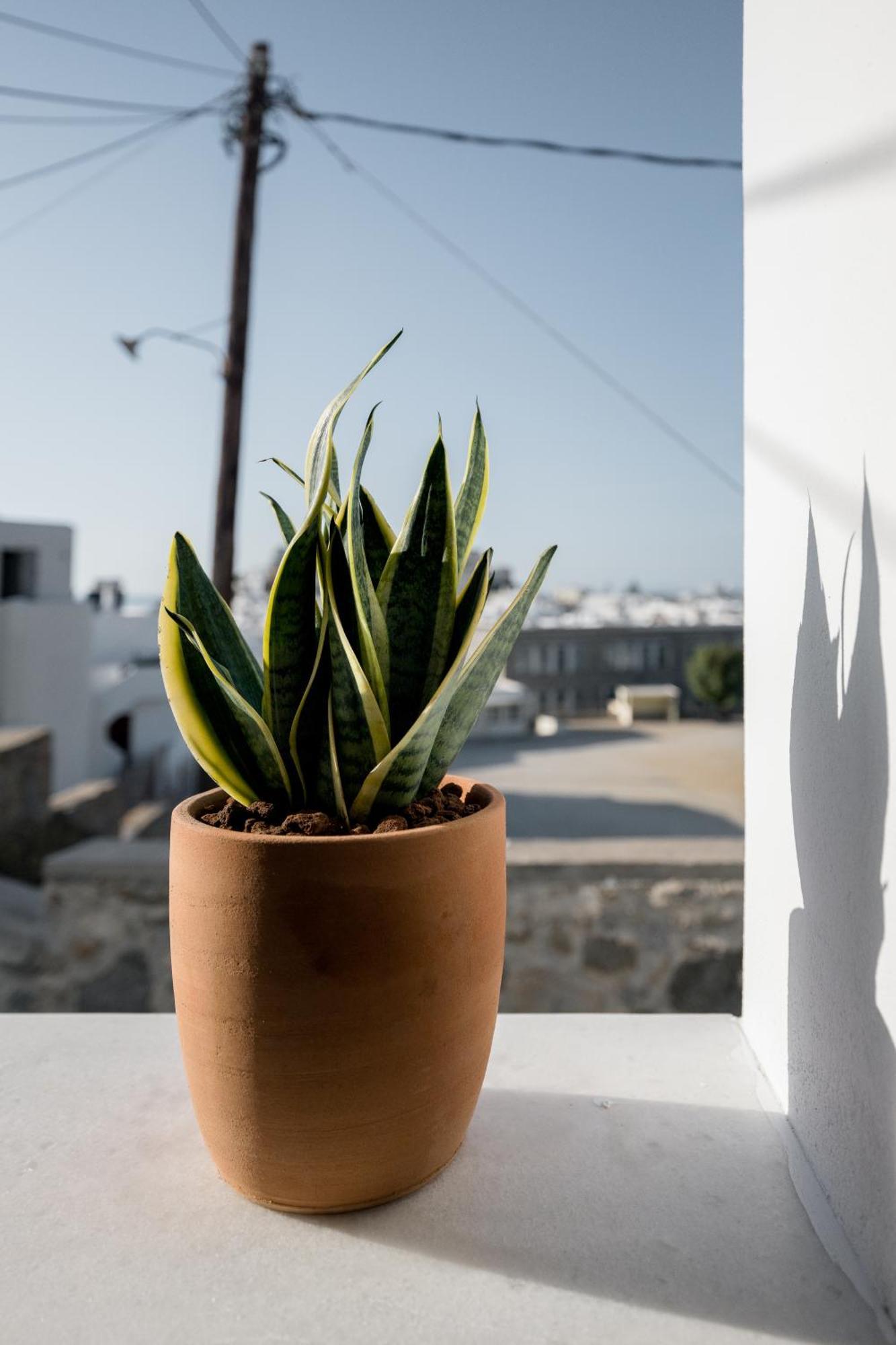 37 2 Heaven Apartment Naxos City ภายนอก รูปภาพ